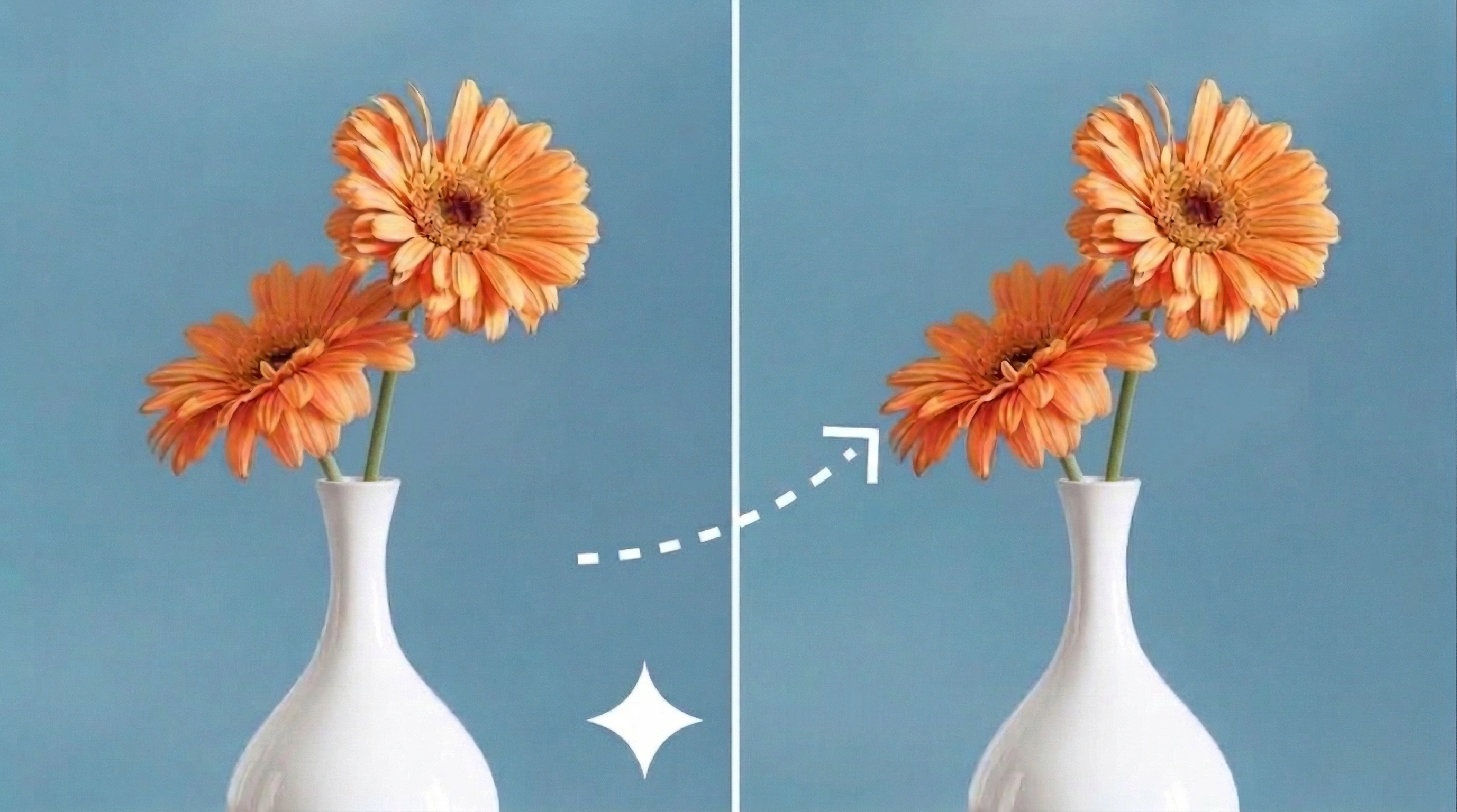 Free Gemini Watermark Remover