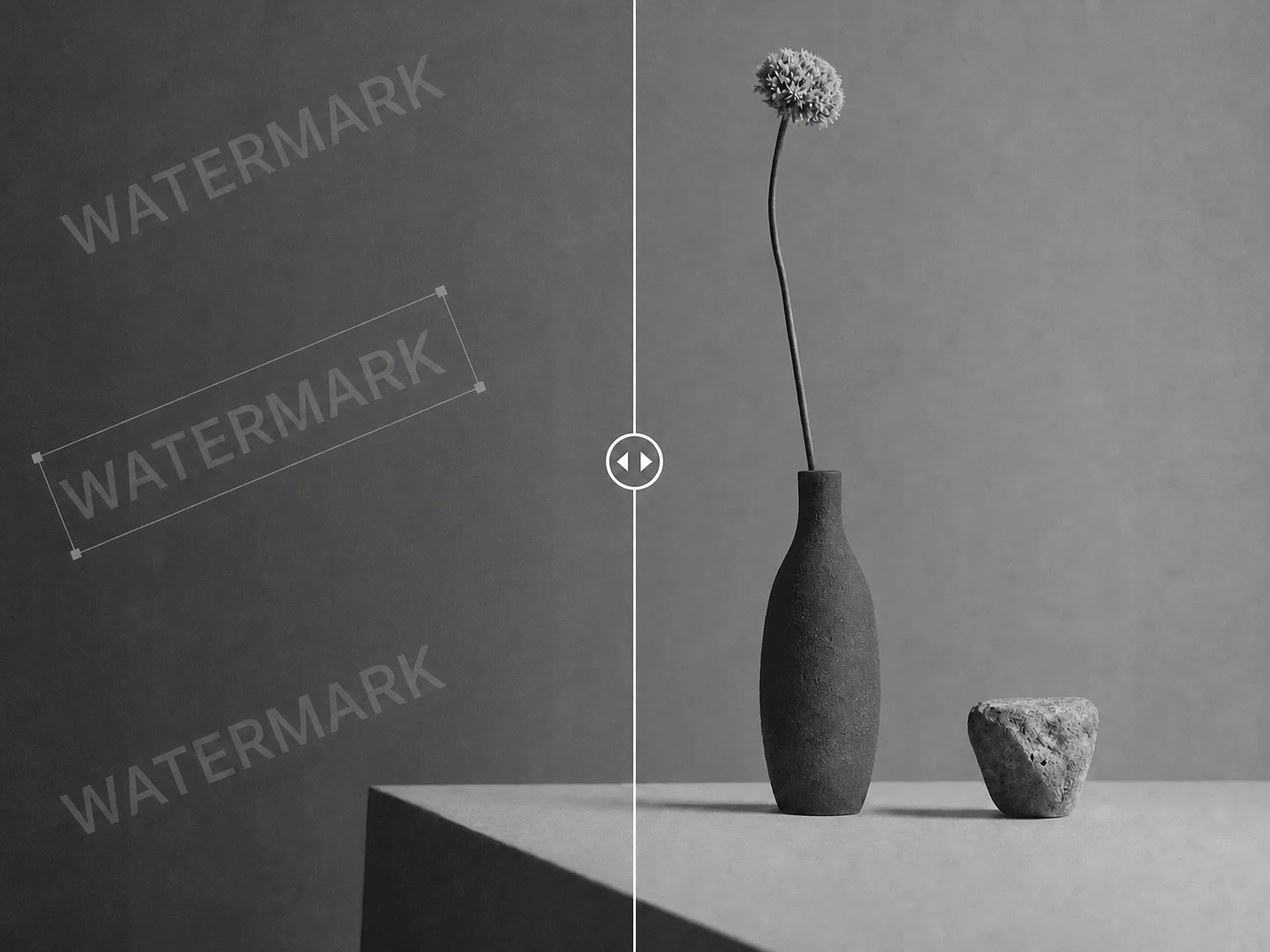 Xóa watermark ảnh miễn phí