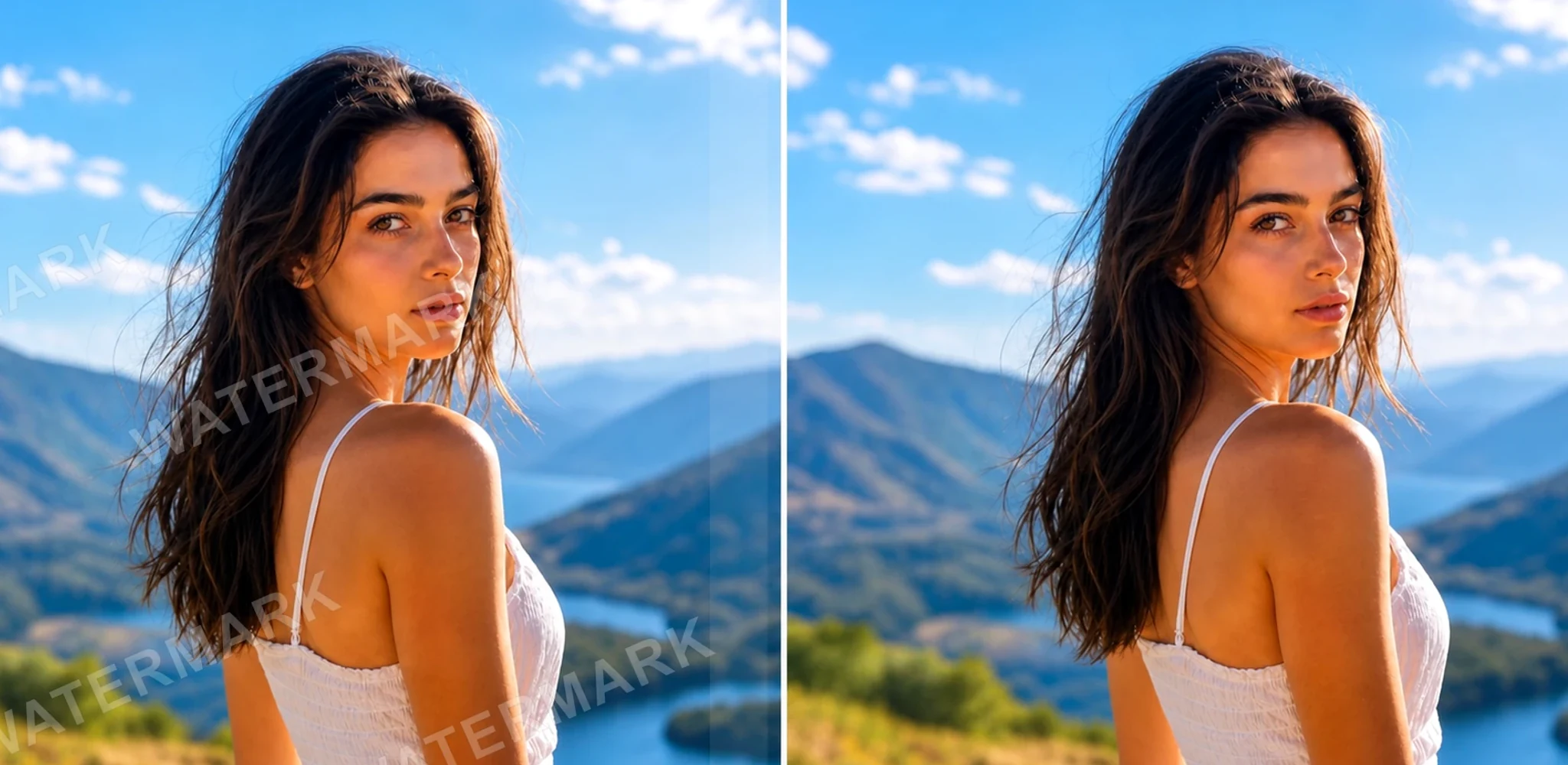 Free AI Video Watermark Remover